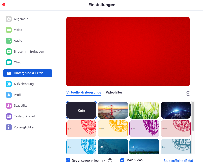 Vorschau virtueller Hintergrund in Zoom
